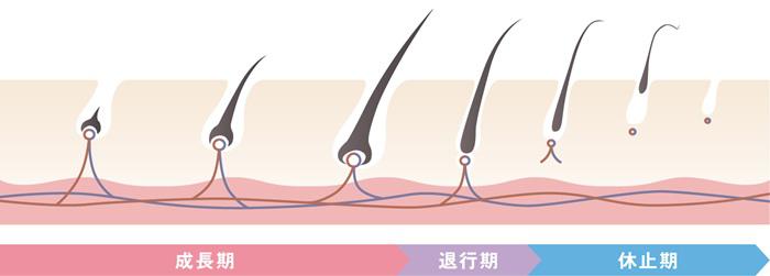 skincare_20250527img01.jpg