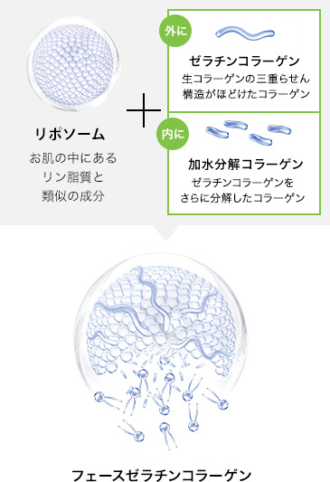 フェースゼラチンコラーゲン