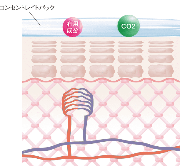 コンセントレイトパックイメージ画像