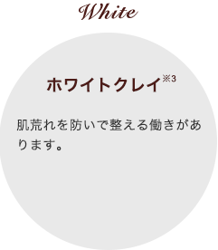 洗顔料 クレイゲルウォッシュ&パック|フェース ラメラモード