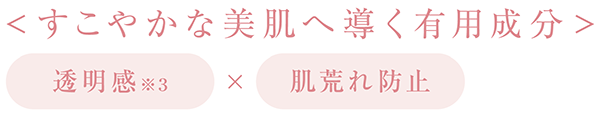 <すこやかな美肌へ導く有用成分> 透明感 ※3 × 肌荒れ防止