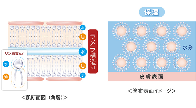 専用　ラメラ　ファンデーション　メイクベース