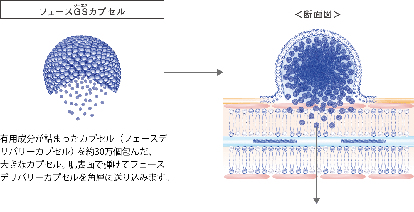 フェーズGSカプセル