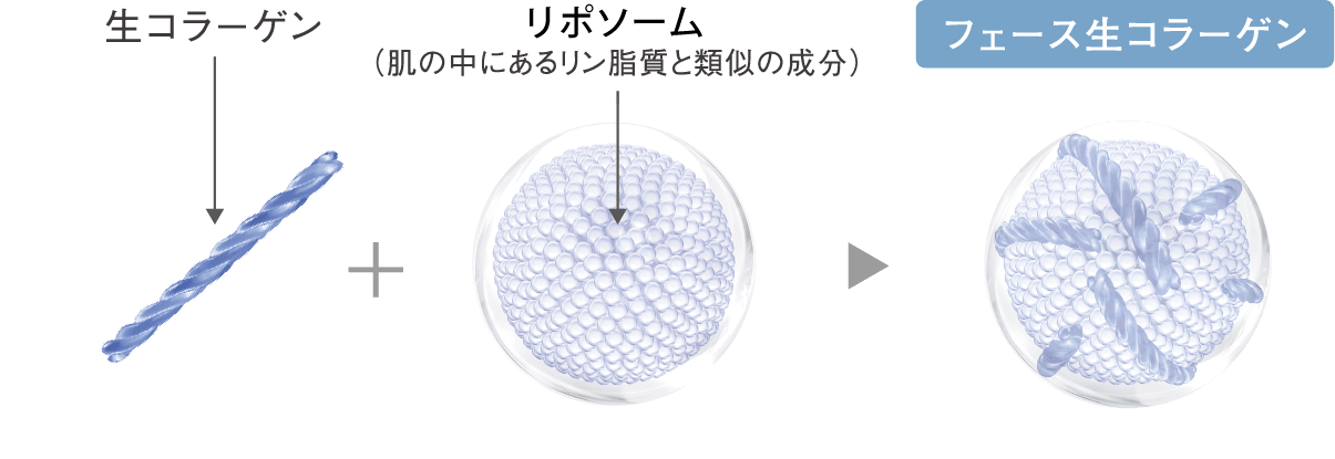 スキンケア/基礎化粧品フェースビューティ プレケアエッセンス 生コラーゲン