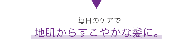 毎日のケアで地肌からすこや
			かな髪に。