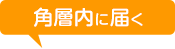 角層内に届く