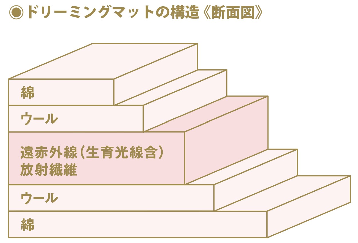 効果的な着用のためのサイズの選び方