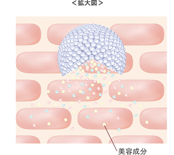 拡大図