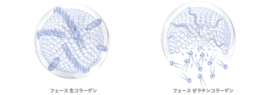 フェース生コラーゲン、フェースゼラチンコラーゲン