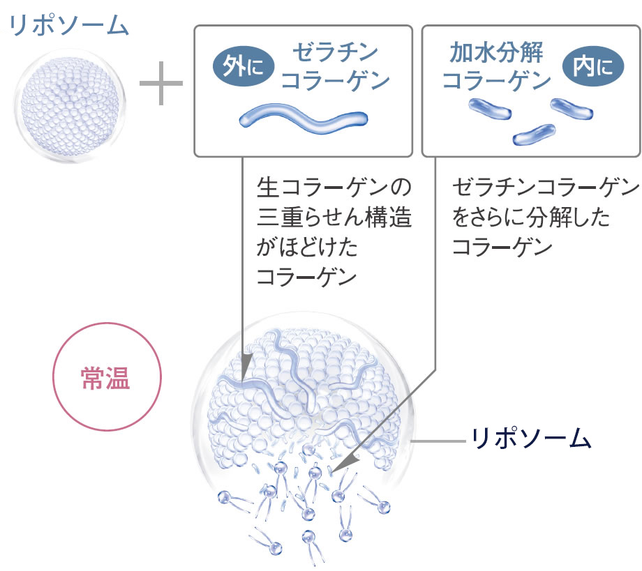 ウィズアウト　モイストゲル　保湿ジェル美容液　ゼラチンコラーゲン