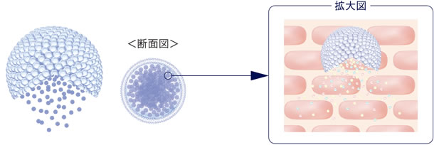 図