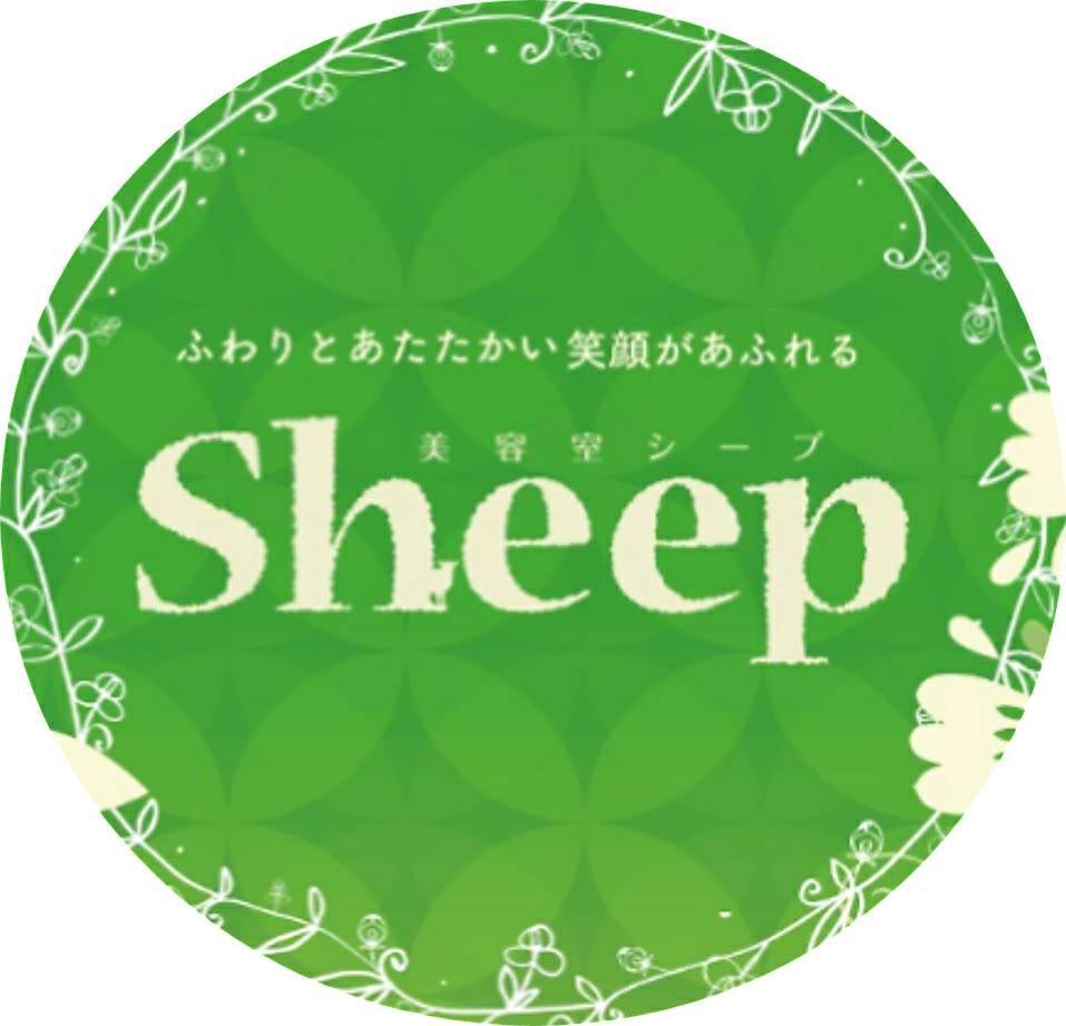 Sheep